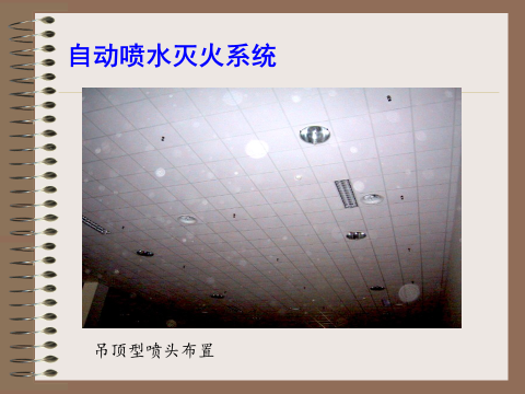 image-20190424155205-23