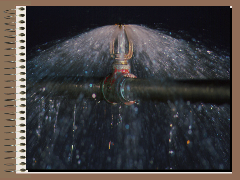 image-20190424155205-24