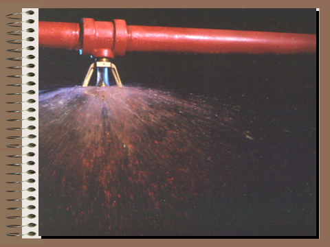 image-20190424155205-25